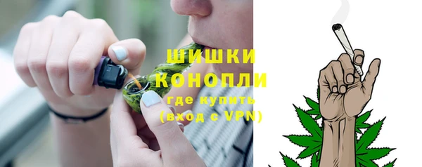 крисы Костерёво