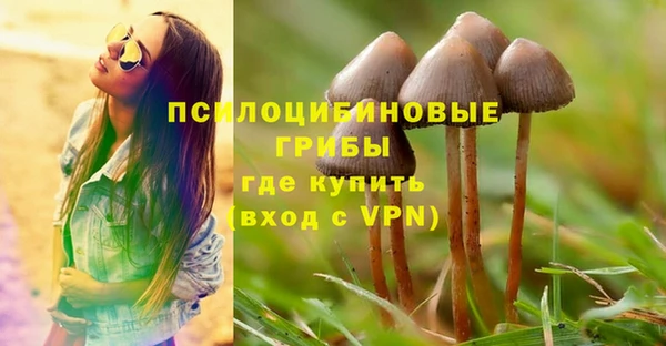 прущий лед Кулебаки