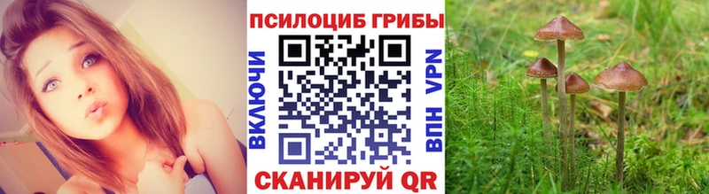 Псилоцибиновые грибы Cubensis  Мензелинск 
